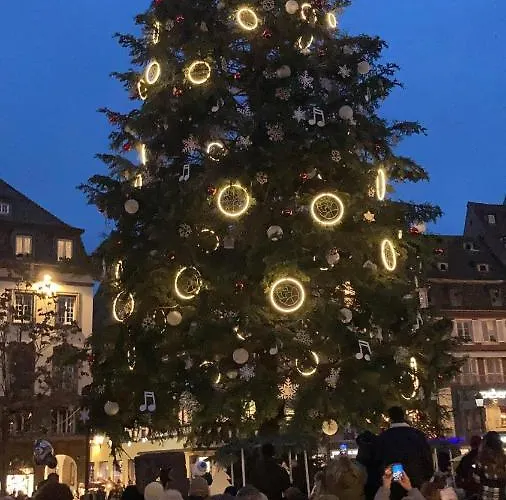 Apartment « le Val D Aurs »calme Et Elegance Straßburg